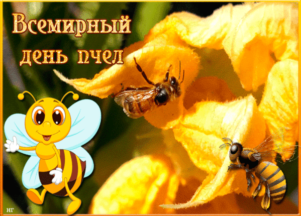 Картинки со Всемирным днем пчел (35 открыток). Анимированные гифки и мерцающие открытки с Днем пчел