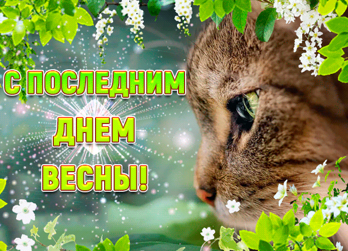 Картинки с последним днем весны (100 открыток). Гифки и мерцающие открытки с последним днем весны