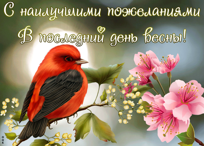 Картинки с последним днем весны (100 открыток). Гифки и мерцающие открытки с последним днем весны