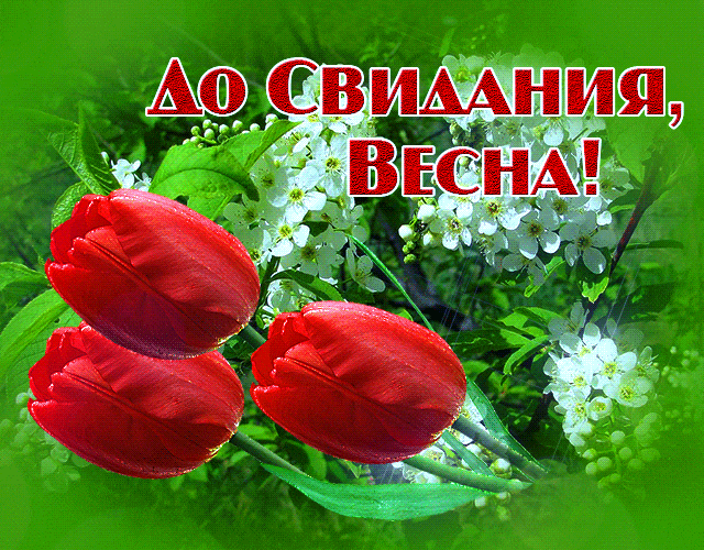 Картинки с последним днем весны (100 открыток). Гифки и мерцающие открытки с последним днем весны