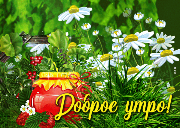 Картинки с добрым июньским утром (140 открыток). Гифки и мерцающие открытки с Добрым июньским утром