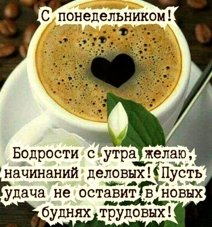 Картинки с Добрым утром понедельника (260 открыток). 