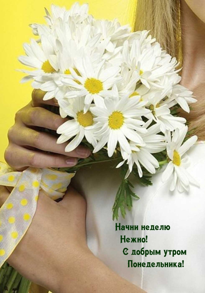 Картинки с Добрым утром понедельника (260 открыток). 