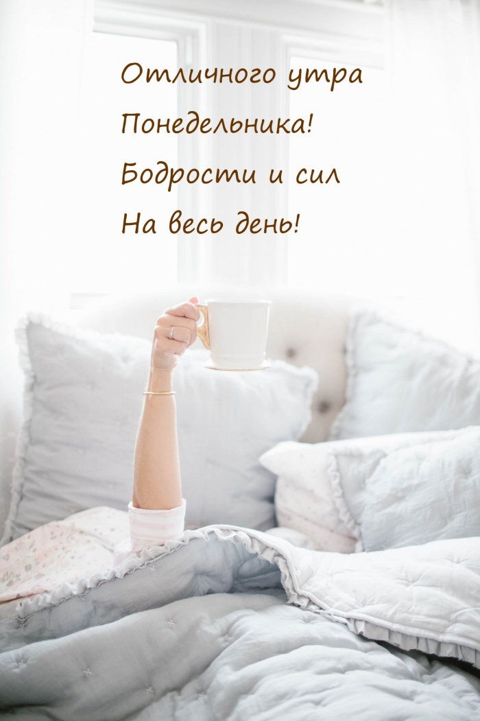 Картинки с Добрым утром понедельника (260 открыток). 