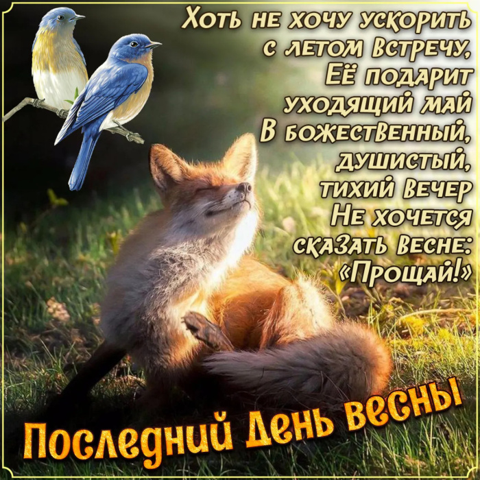 Картинки с последним днем весны (100 открыток). Картинки с надписями: последний день весны, до свидания весна, прощай весна