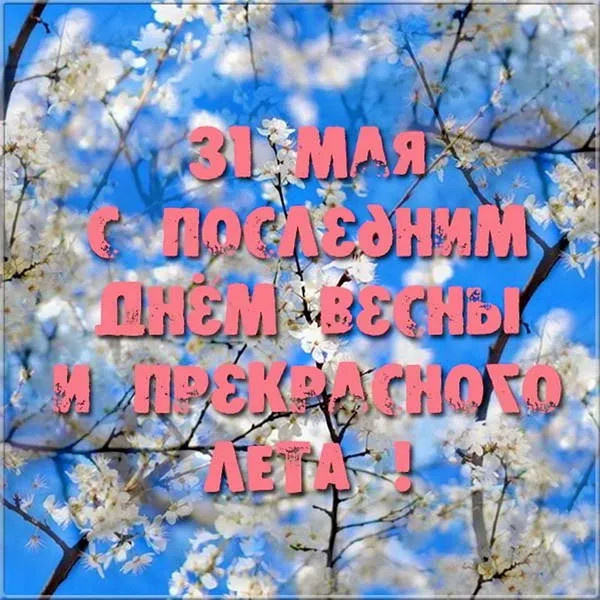Картинки с последним днем весны (100 открыток). Красивые картинки с последним весенним днем
