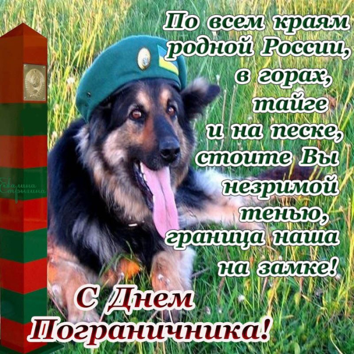 Картинки с Днем пограничника (160 открыток). Красивые и прикольные картинки с поздравлениями