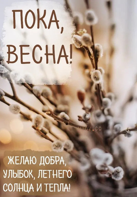 Картинки с последним днем весны (100 открыток). Красивые картинки с последним весенним днем