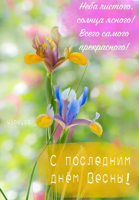Картинки с последним днем весны (100 открыток). Картинки с надписями: последний день весны, до свидания весна, прощай весна