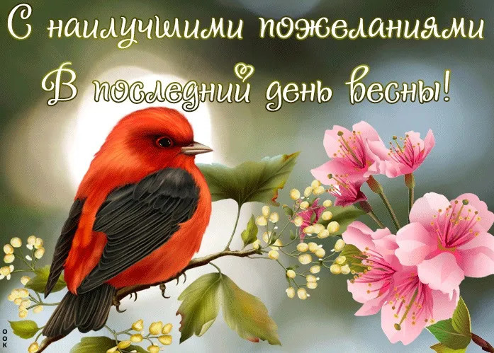 Картинки с последним днем весны (100 открыток). Картинки с надписями: последний день весны, до свидания весна, прощай весна