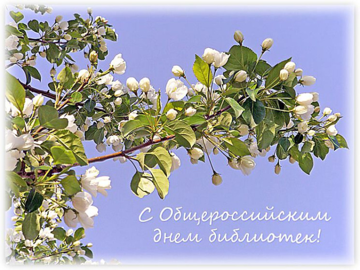 Картинки с Днем библиотекаря (145 открыток). Красивые картинки с надписями и поздравлениями
