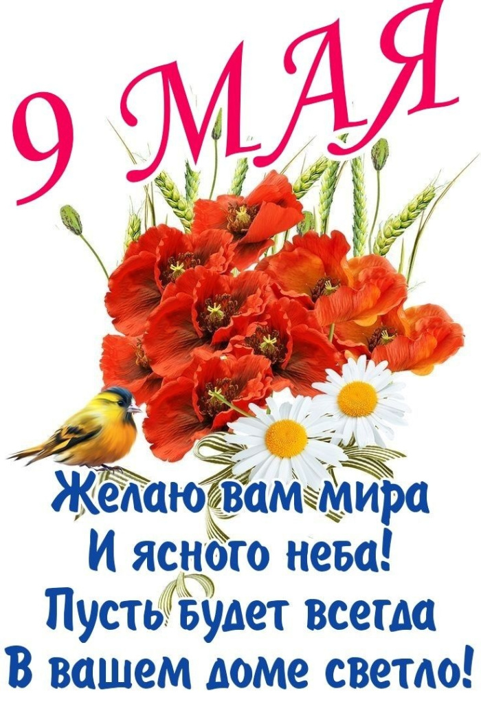 Картинки с Днем Победы (245 открыток). Открытки с поздравлениями с Днем Победы