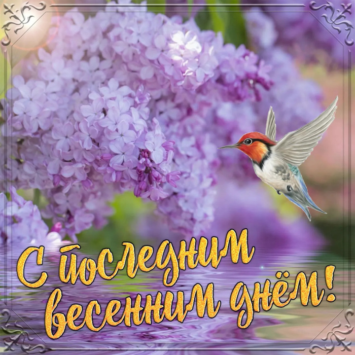 Картинки с последним днем весны (100 открыток). Красивые картинки с последним весенним днем
