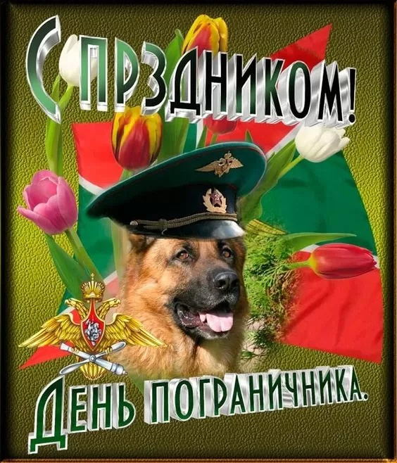 Картинки с Днем пограничника (160 открыток). Красивые и прикольные картинки с поздравлениями