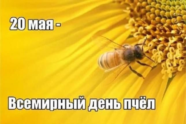 Картинки со Всемирным днем пчел (35 открыток). Всемирный день пчел: картинки с надписями и поздравлениями