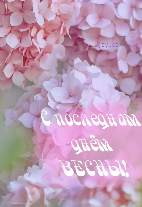 Картинки с последним днем весны (100 открыток). Картинки с надписями: последний день весны, до свидания весна, прощай весна