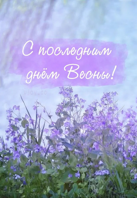 Картинки с последним днем весны (100 открыток). Красивые картинки с последним весенним днем