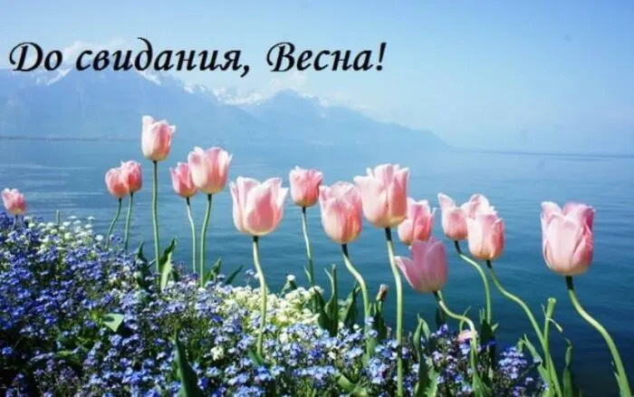Картинки с последним днем весны (100 открыток). Картинки с надписями: последний день весны, до свидания весна, прощай весна