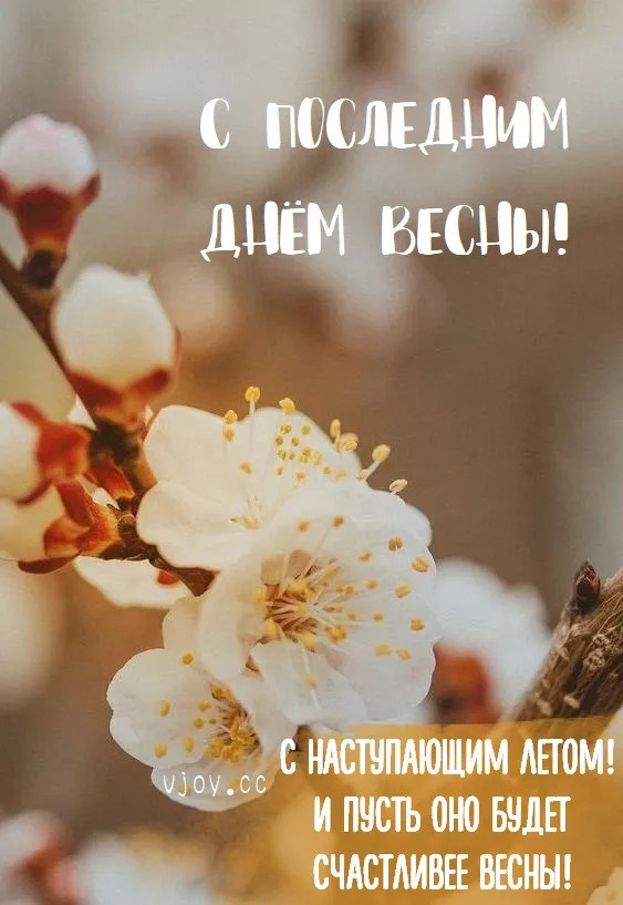 Картинки с последним днем весны (100 открыток). Красивые картинки с последним весенним днем