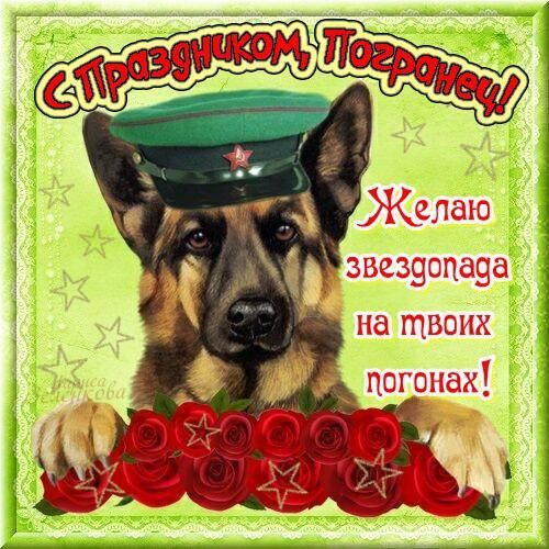 Картинки с Днем пограничника (160 открыток). Красивые и прикольные картинки с поздравлениями