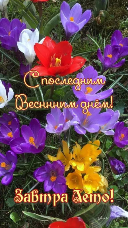 Картинки с последним днем весны (100 открыток). Картинки с надписями: последний день весны, до свидания весна, прощай весна