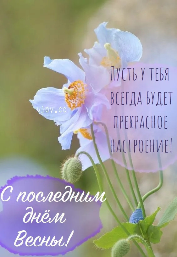 Картинки с последним днем весны (100 открыток). Картинки с надписями: последний день весны, до свидания весна, прощай весна