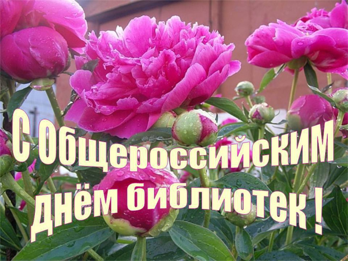 Картинки с Днем библиотекаря (145 открыток). Красивые картинки с надписями и поздравлениями