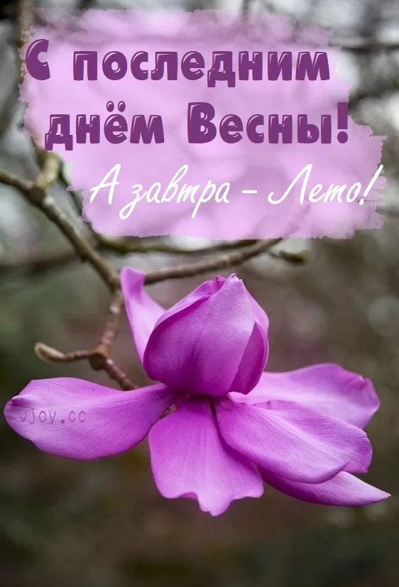 Картинки с последним днем весны (100 открыток). Картинки с надписями: последний день весны, до свидания весна, прощай весна