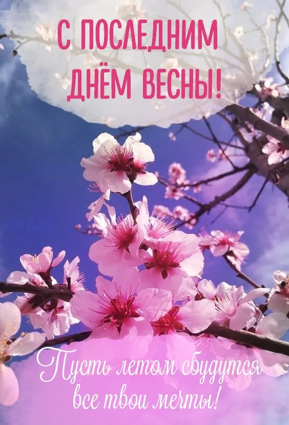 Картинки с последним днем весны (100 открыток). Картинки с надписями: последний день весны, до свидания весна, прощай весна