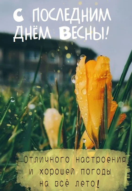 Картинки с последним днем весны (100 открыток). Картинки с надписями: последний день весны, до свидания весна, прощай весна