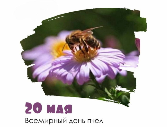 Картинки со Всемирным днем пчел (35 открыток). Всемирный день пчел: картинки с надписями и поздравлениями
