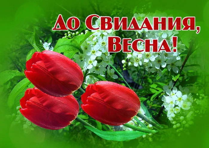 Картинки с последним днем весны (100 открыток). Красивые картинки с последним весенним днем
