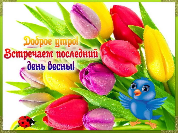 Картинки с последним днем весны (100 открыток). Красивые картинки с последним весенним днем
