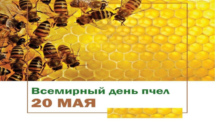 Картинки со Всемирным днем пчел (35 открыток). Всемирный день пчел: картинки с надписями и поздравлениями