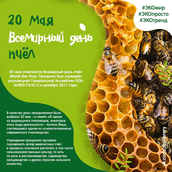 Картинки со Всемирным днем пчел (35 открыток). Всемирный день пчел: картинки с надписями и поздравлениями