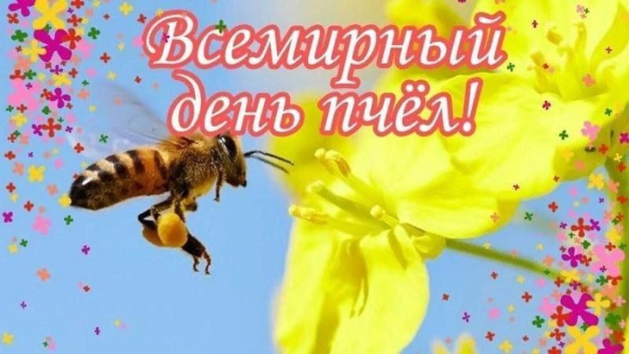 Картинки со Всемирным днем пчел (35 открыток). Всемирный день пчел: картинки с надписями и поздравлениями