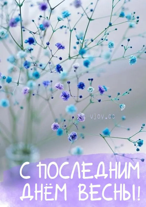 Картинки с последним днем весны (100 открыток). Картинки с надписями: последний день весны, до свидания весна, прощай весна