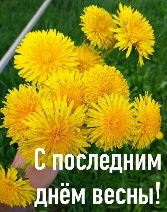 Картинки с последним днем весны (100 открыток). Картинки с надписями: последний день весны, до свидания весна, прощай весна