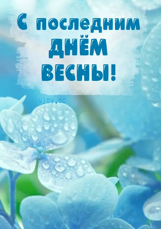 Картинки с последним днем весны (100 открыток). Картинки с надписями: последний день весны, до свидания весна, прощай весна