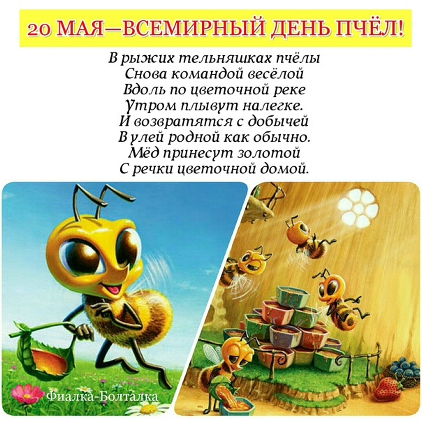 Картинки со Всемирным днем пчел (35 открыток). Всемирный день пчел: картинки с надписями и поздравлениями