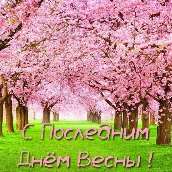Картинки с последним днем весны (100 открыток). Красивые картинки с последним весенним днем
