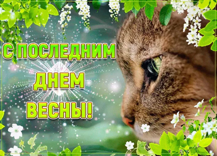 Картинки с последним днем весны (100 открыток). Картинки с надписями: последний день весны, до свидания весна, прощай весна