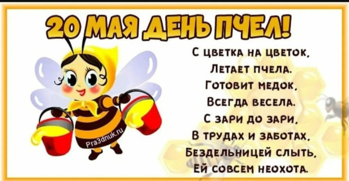 Картинки со Всемирным днем пчел (35 открыток). Всемирный день пчел: картинки с надписями и поздравлениями