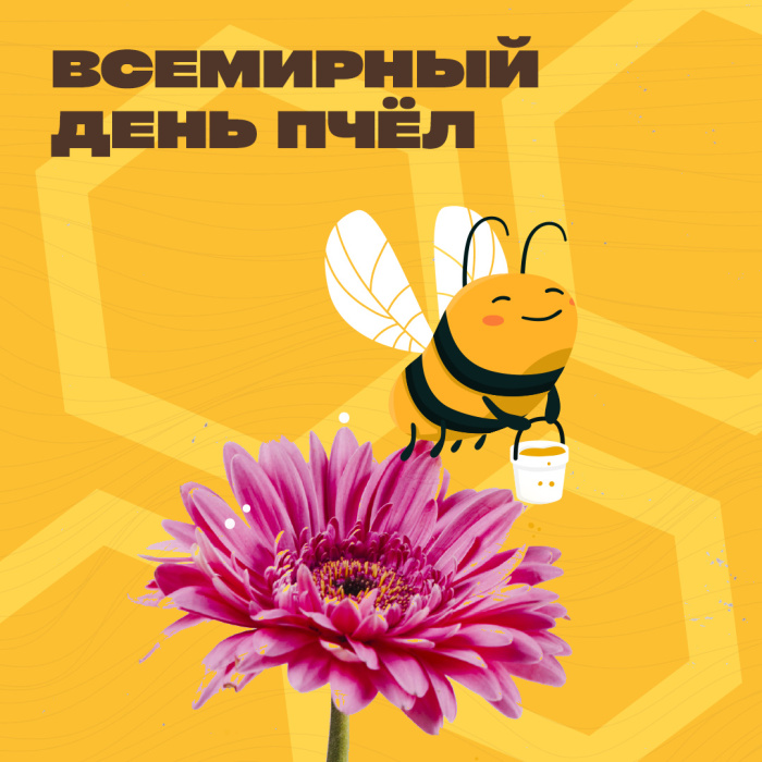 Картинки со Всемирным днем пчел (35 открыток). Всемирный день пчел: картинки с надписями и поздравлениями