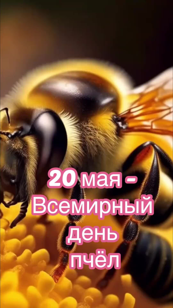 Картинки со Всемирным днем пчел (35 открыток). Всемирный день пчел: картинки с надписями и поздравлениями