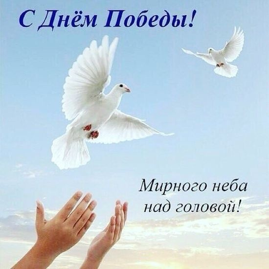 Картинки с Днем Победы (245 открыток). Открытки с поздравлениями с Днем Победы