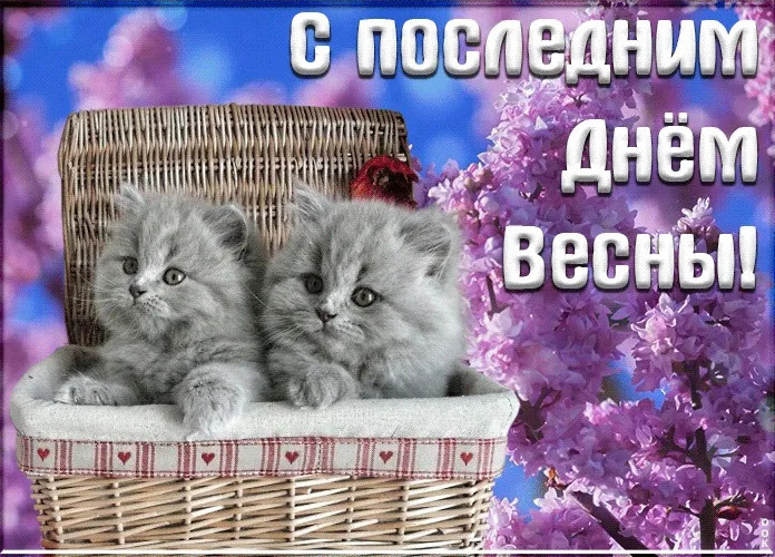 Картинки с последним днем весны (100 открыток). Красивые картинки с последним весенним днем