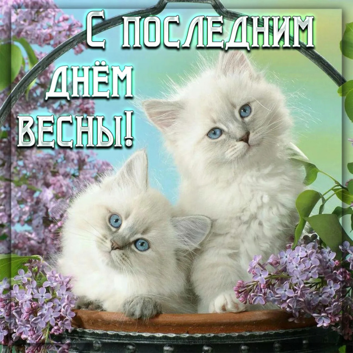 Картинки с последним днем весны (100 открыток). Картинки с надписями: последний день весны, до свидания весна, прощай весна