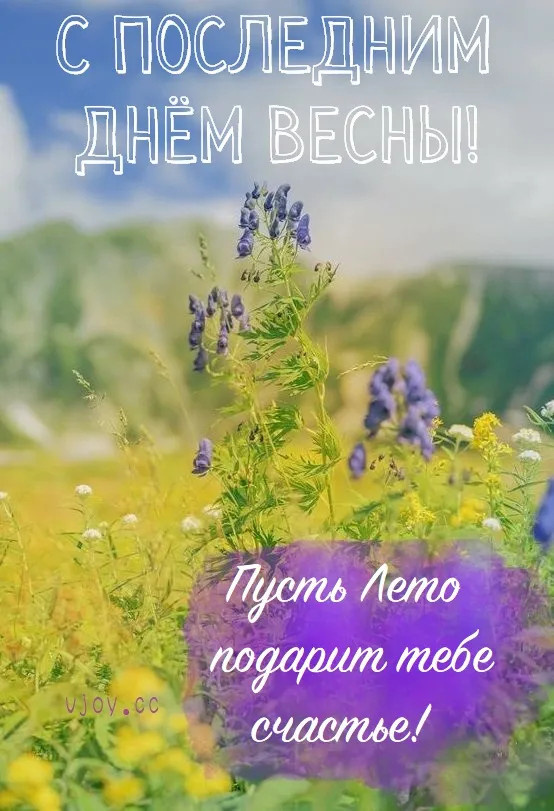 Картинки с последним днем весны (100 открыток). Красивые картинки с последним весенним днем