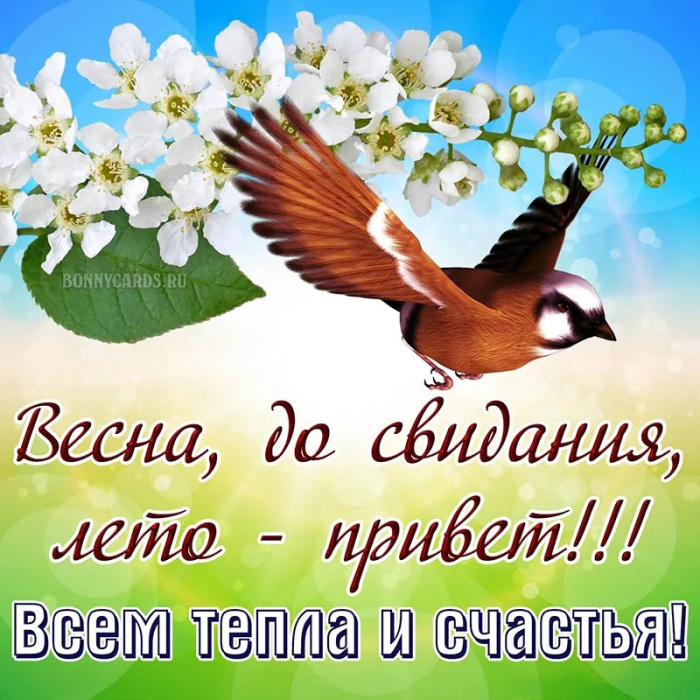 Картинки с последним днем весны (100 открыток). Красивые картинки с последним весенним днем
